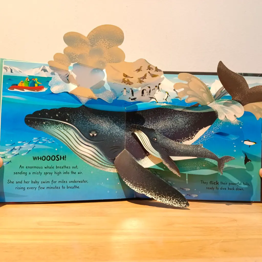 IMG_20250616_184038_316.webp