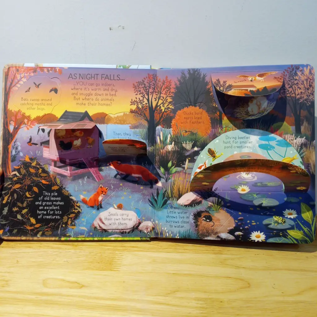 IMG_20251013_165356_640.webp