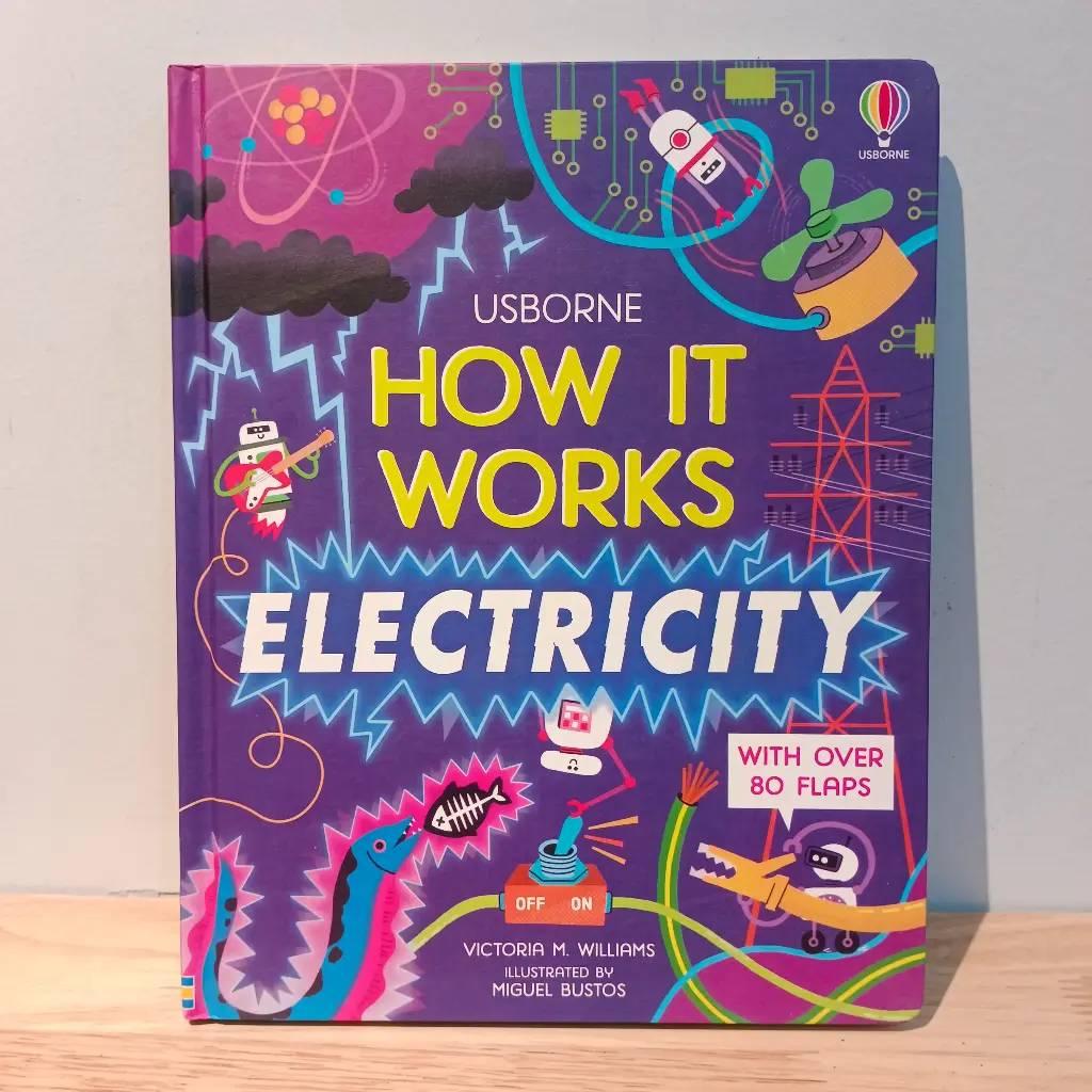 Usborne How It Works: Electricity