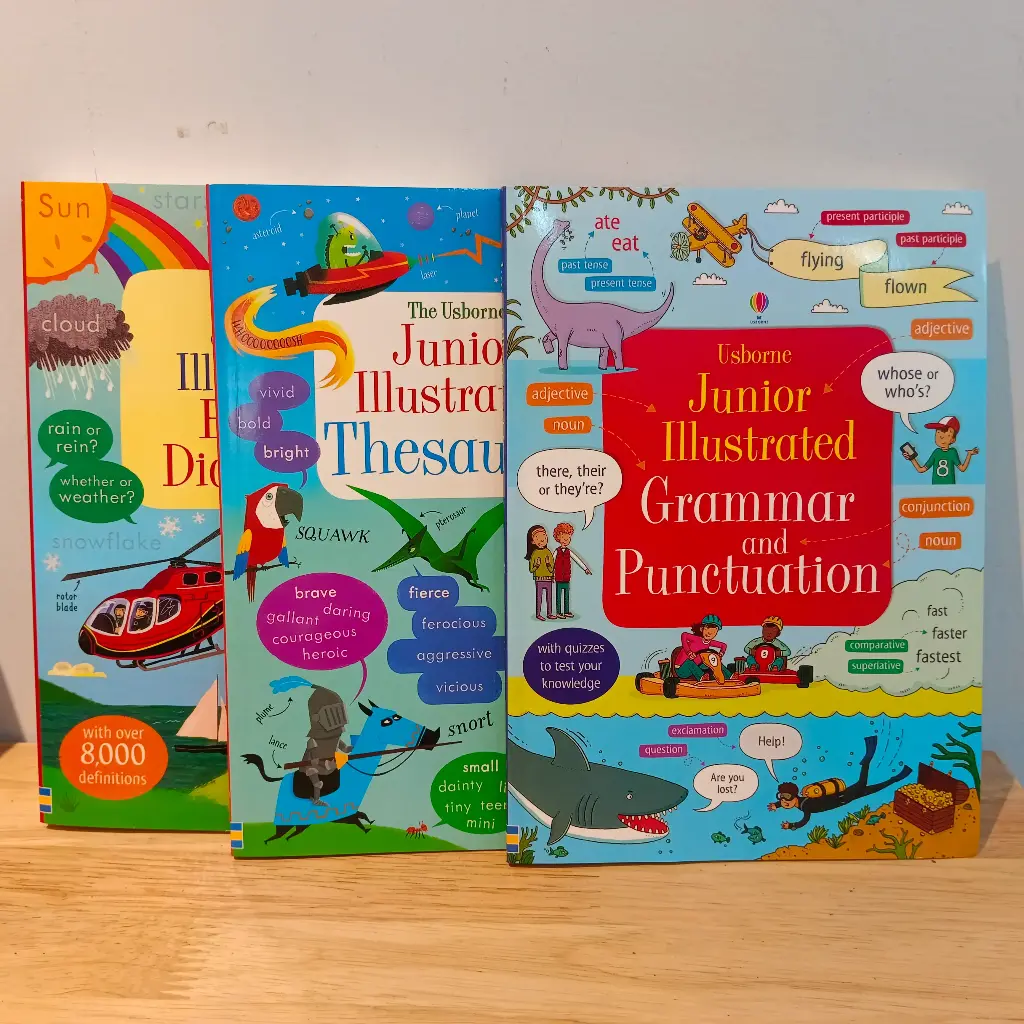 The Usborne English for Writers Collection (3 Books Set)