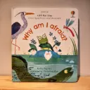 Usborne Lift-the-flap First Questions and Answers:  Why am I afraid?