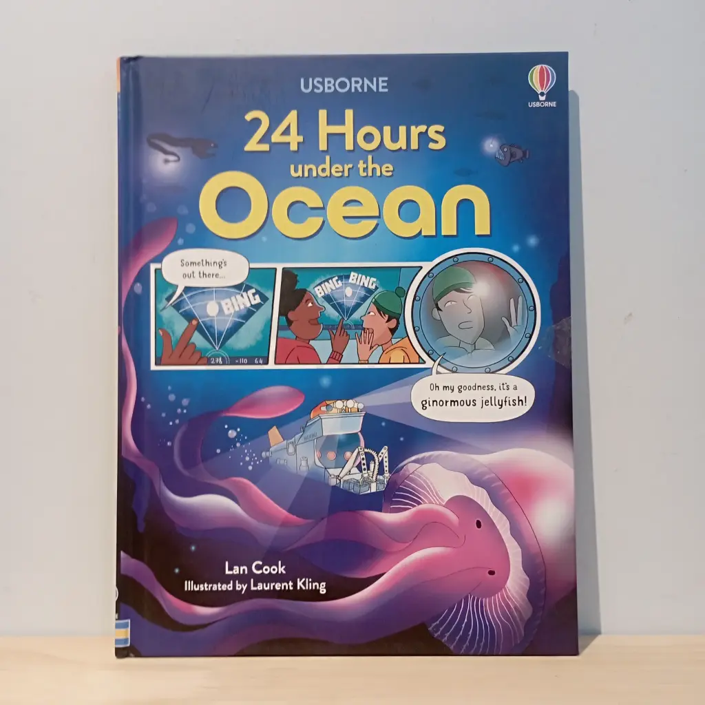 Usborne 24 Hours under the Ocean
