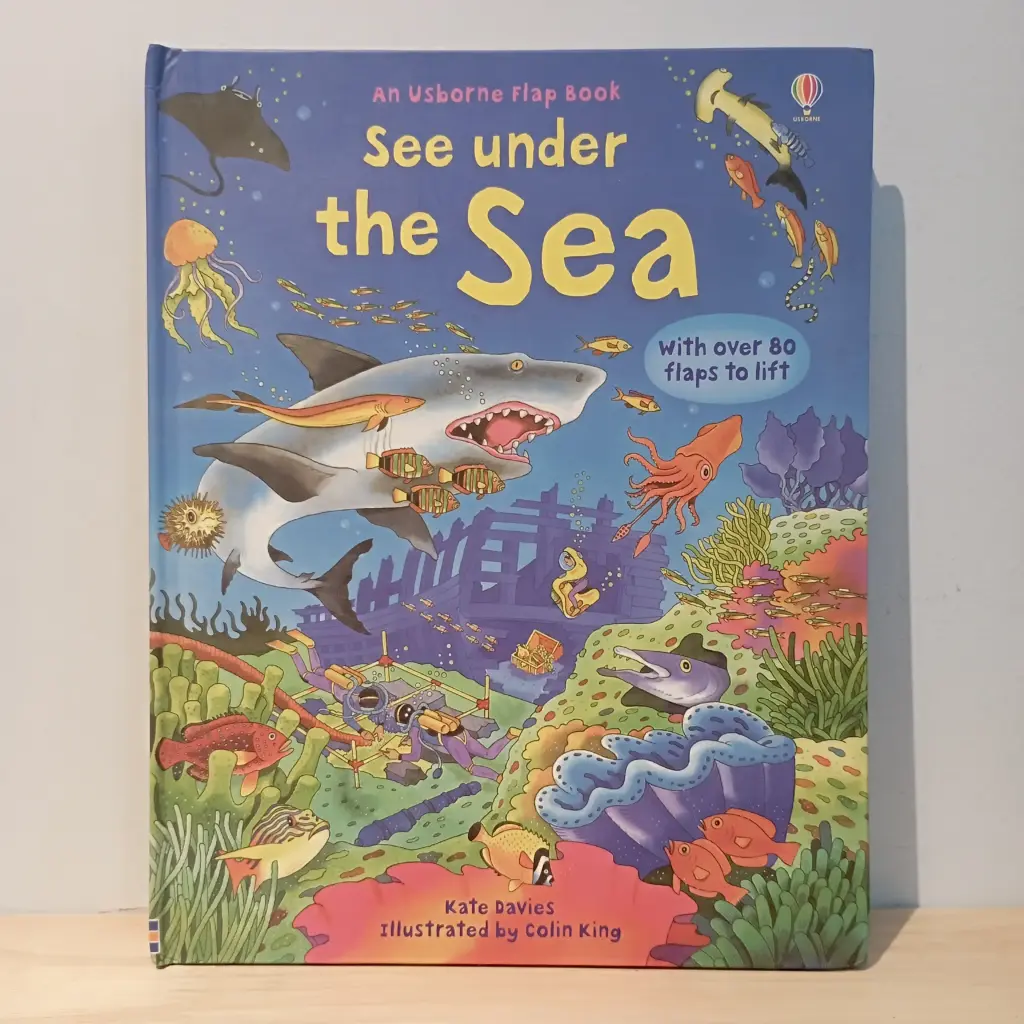 Usborne Flap Book: See under the Sea