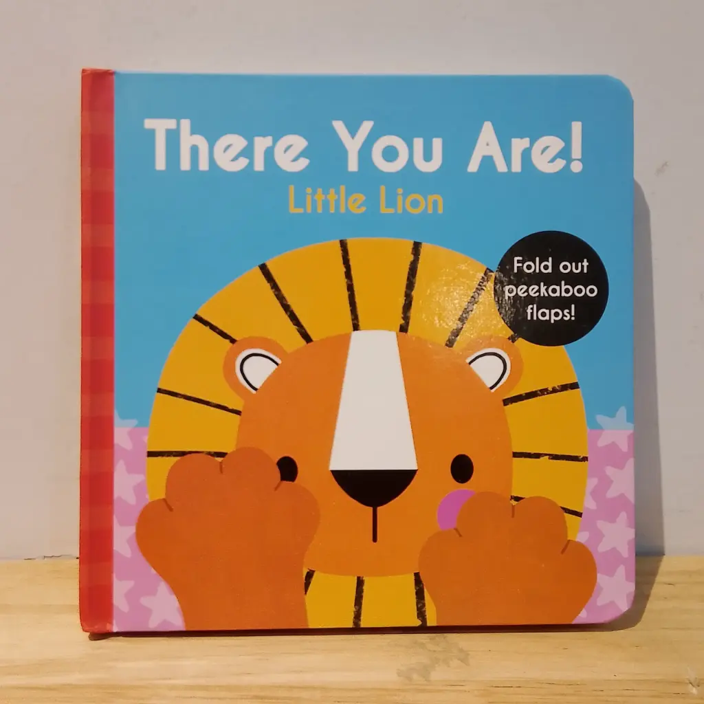 There You Are!: Little Lion