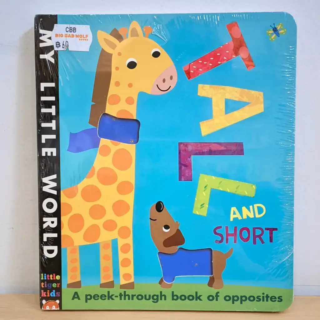 My Little World: A peek-through book of opposites