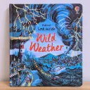 Usborne Look Inside Wild Weather