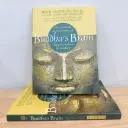 Buddha's Brain - Rick Hanson
