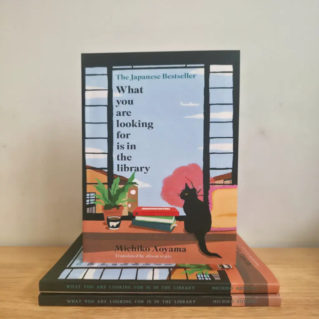 What you are Looking for is in the Library - Michiko Aoyama