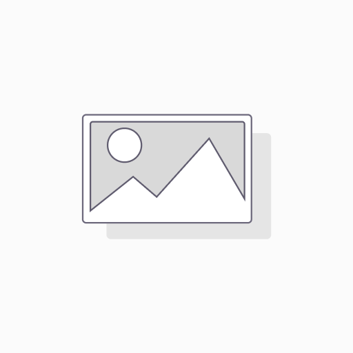 The Chicken Squad (6 Books Set)