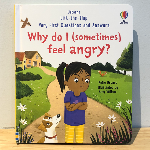 [RP0162] Very First Questions and Answers: Why do I (sometimes) feel angry?