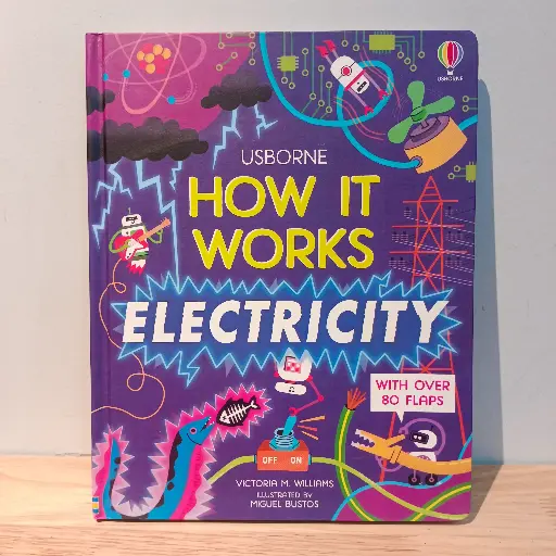[RP0402] Usborne How It Works: Electricity