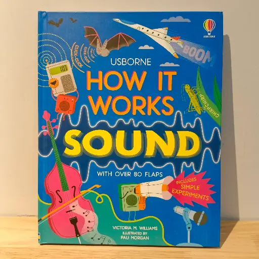 [RP0403] Usborne How It Works: Sound  
