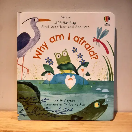 [RP0568] Usborne Lift-the-flap First Questions and Answers:  Why am I afraid?
