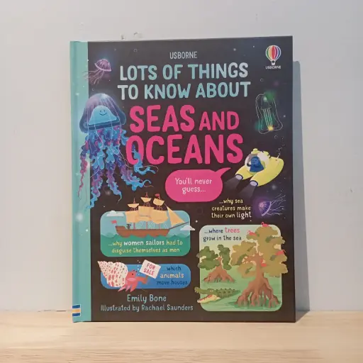[RP0622] Usborne Lots of Things to Know about: Seas and Ocean 