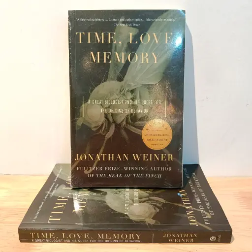 [AR0107] Time, Love, Memory