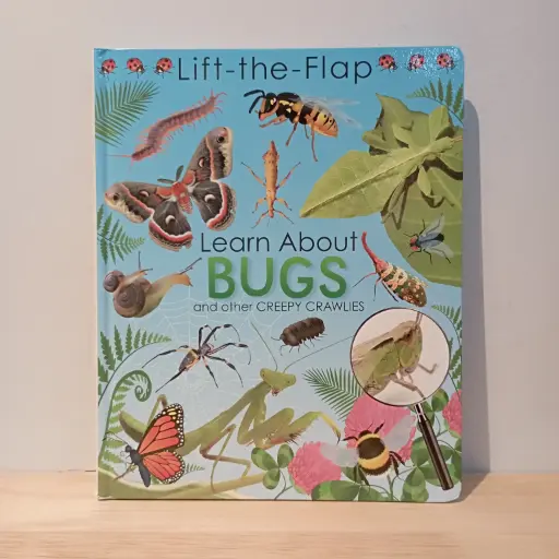 [RP0682] Lift the Flap : Learn About Bugs